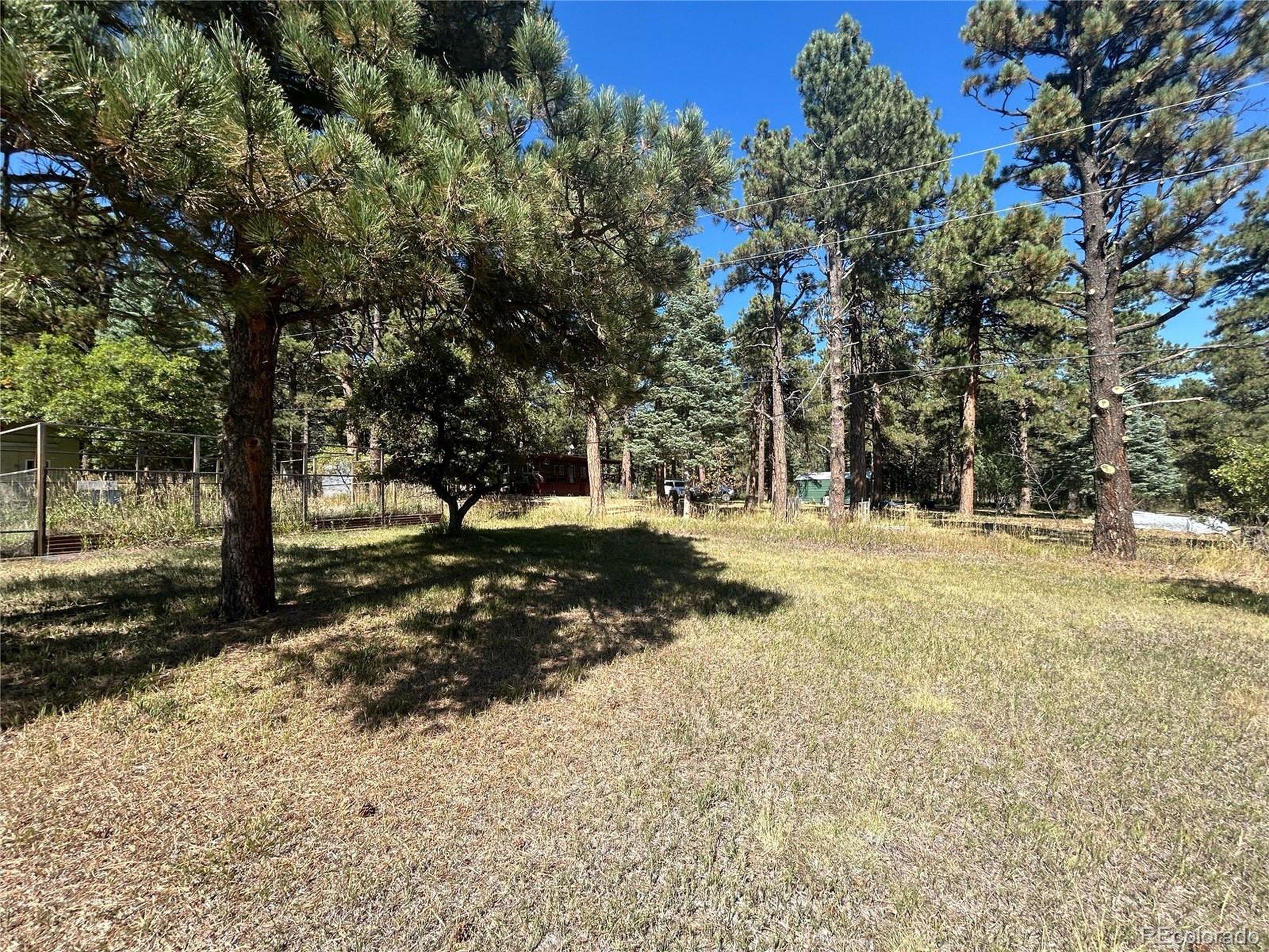 Pine Dr, Rye, CO 81069