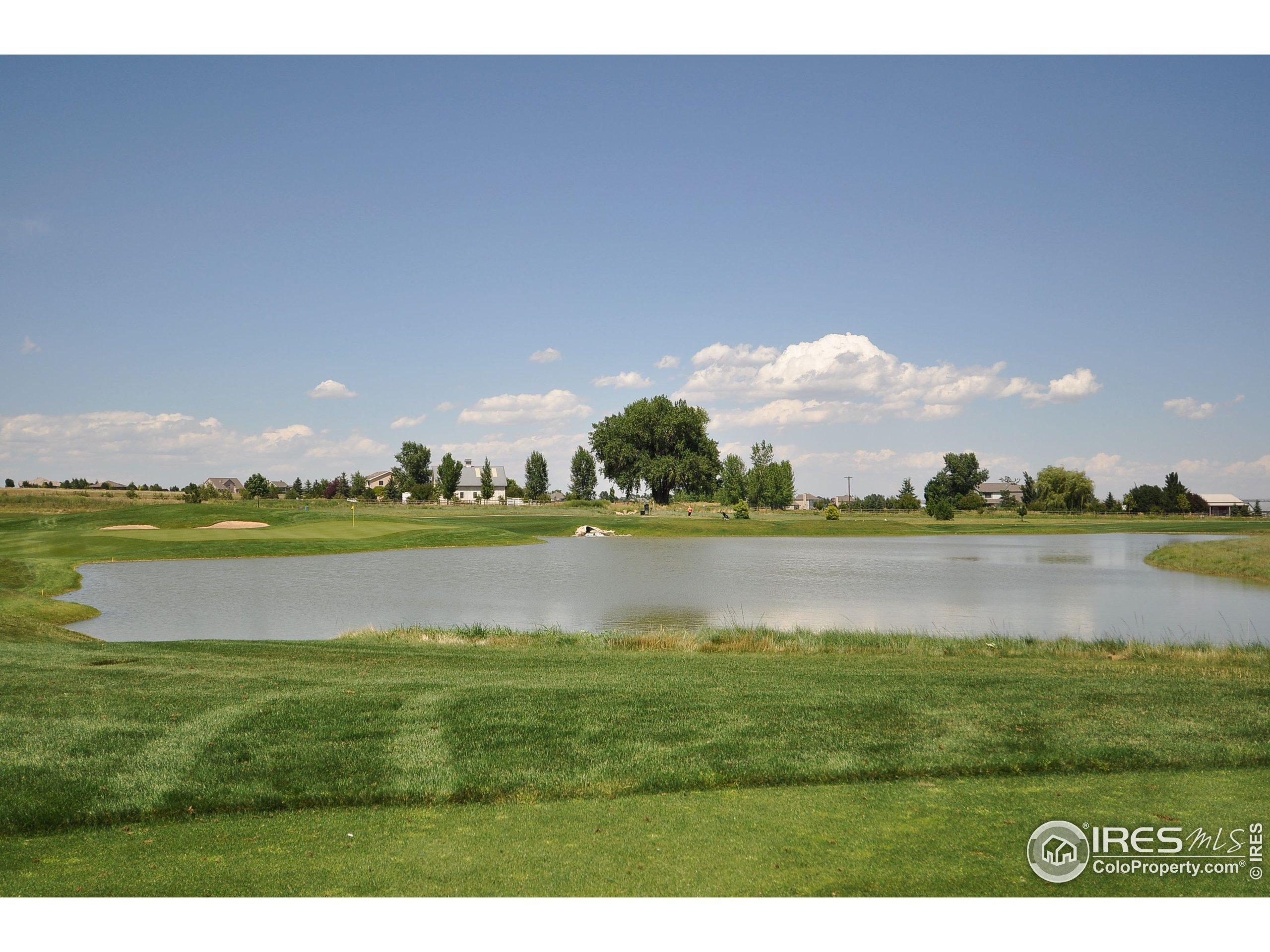 Crooked Stick Dr, Windsor, CO 80550