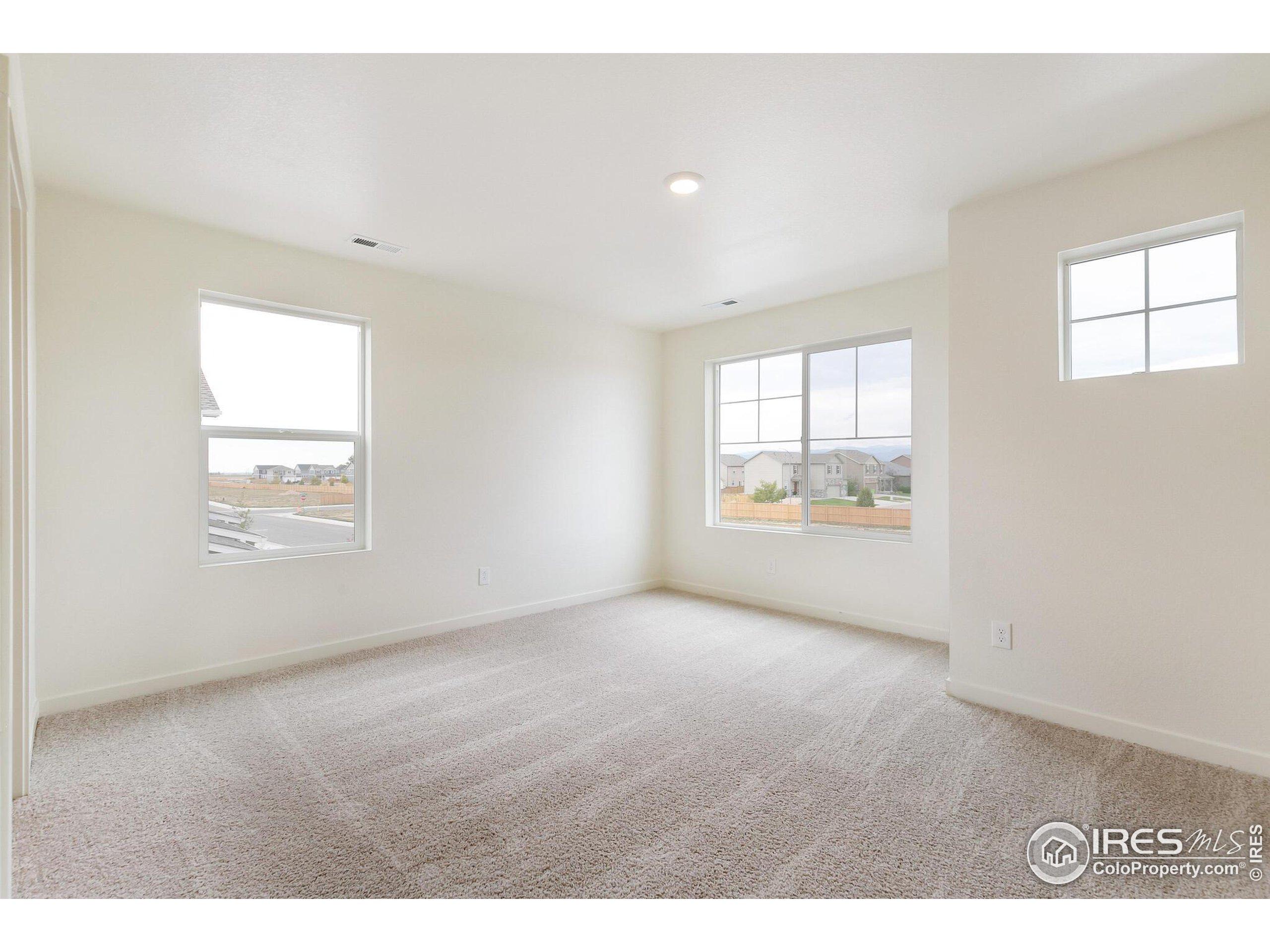 Coralbell St, Wellington, CO 80549