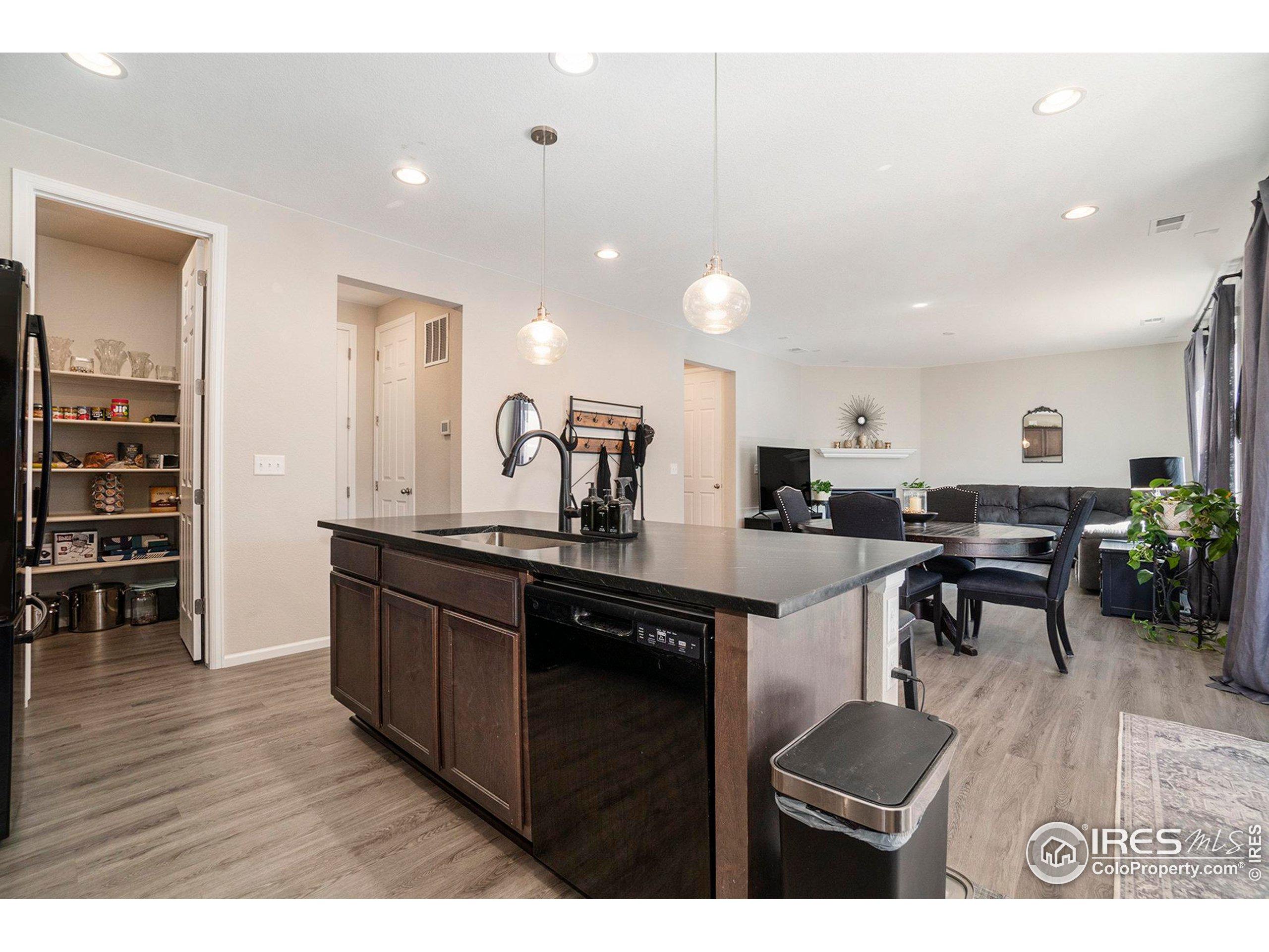 Bay Hill Ct, Windsor, CO 80528