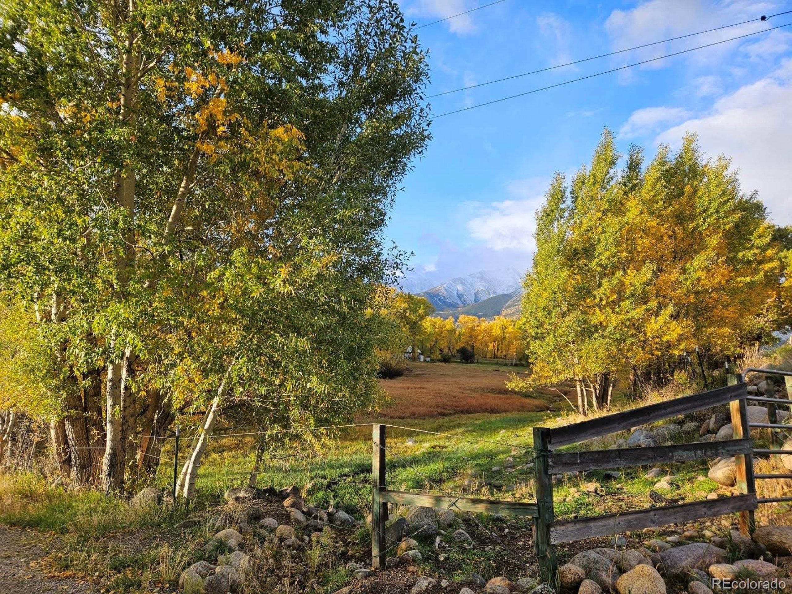 County Road 338, Buena Vista, CO 81211