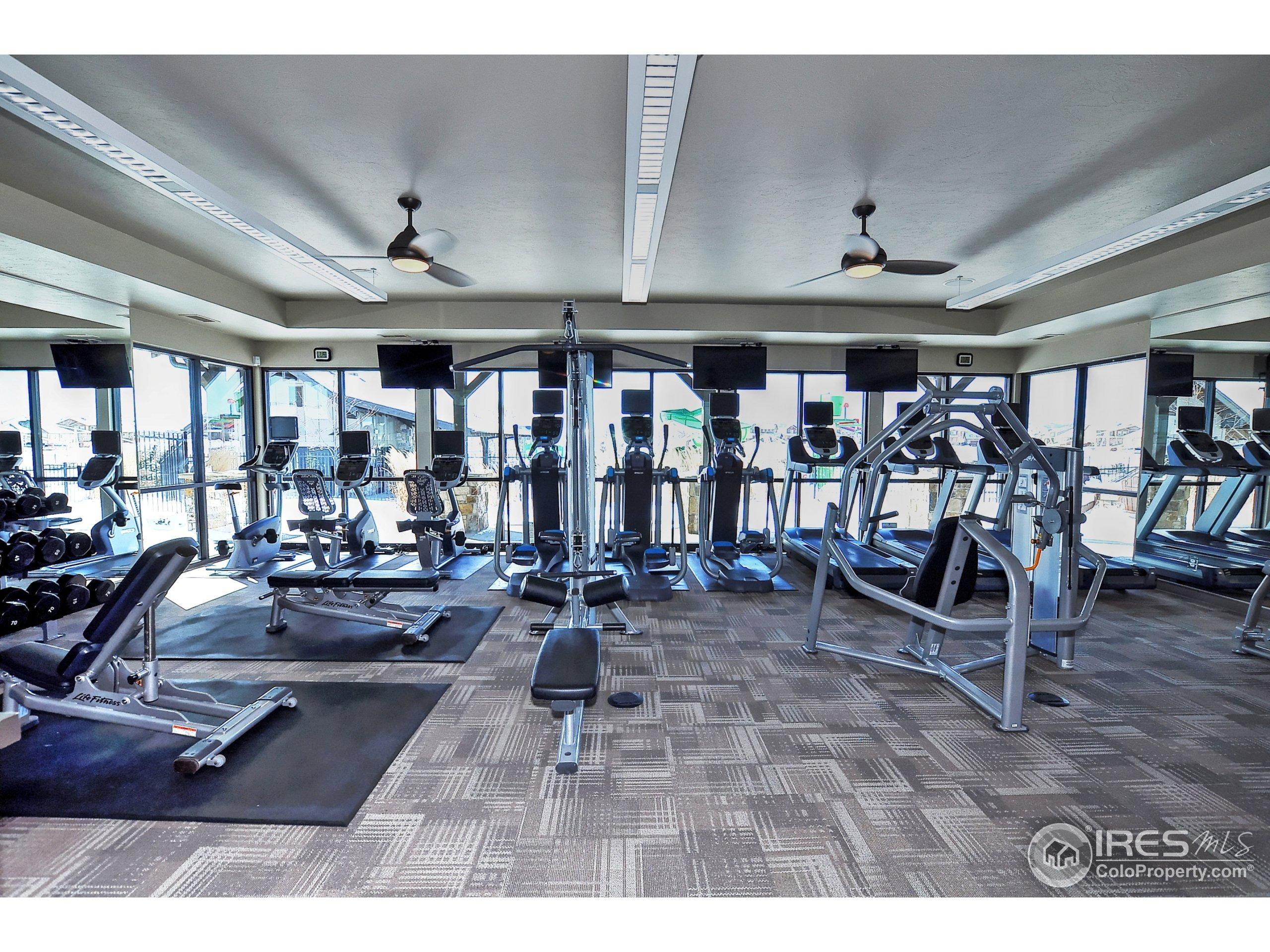 Calgary St, Timnath, CO 80547