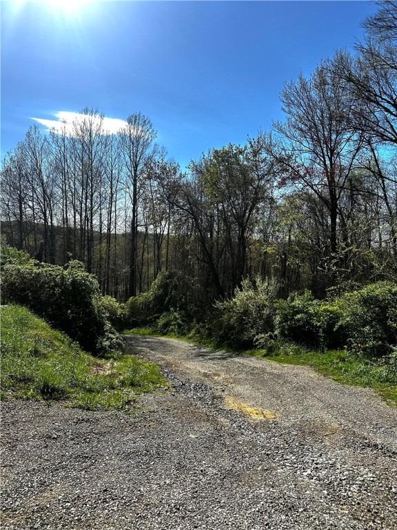 Findlay Rd, West Sunbury, PA 16061