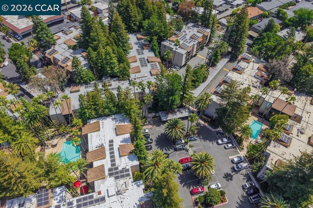 Sharene Ln, Walnut Creek, CA 94596