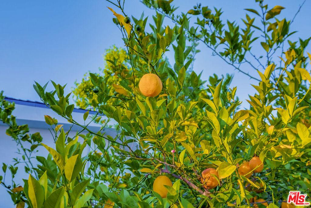 Corteen Pl, Valley Village, CA 91607