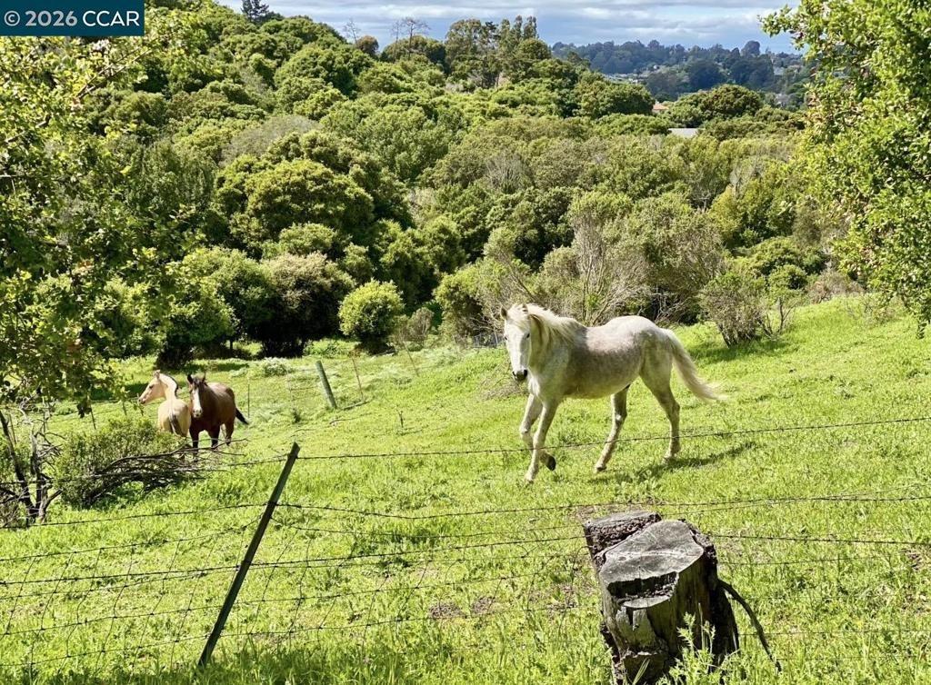 Ridgeview Cir, El Sobrante, CA 94803