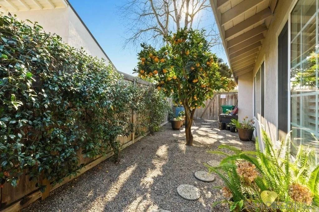 Avenida Feliz, Rancho Santa Fe, CA 92091