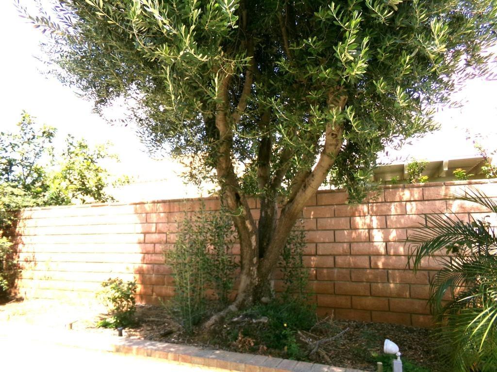 W Forest Oaks Ave, Banning, CA 92220