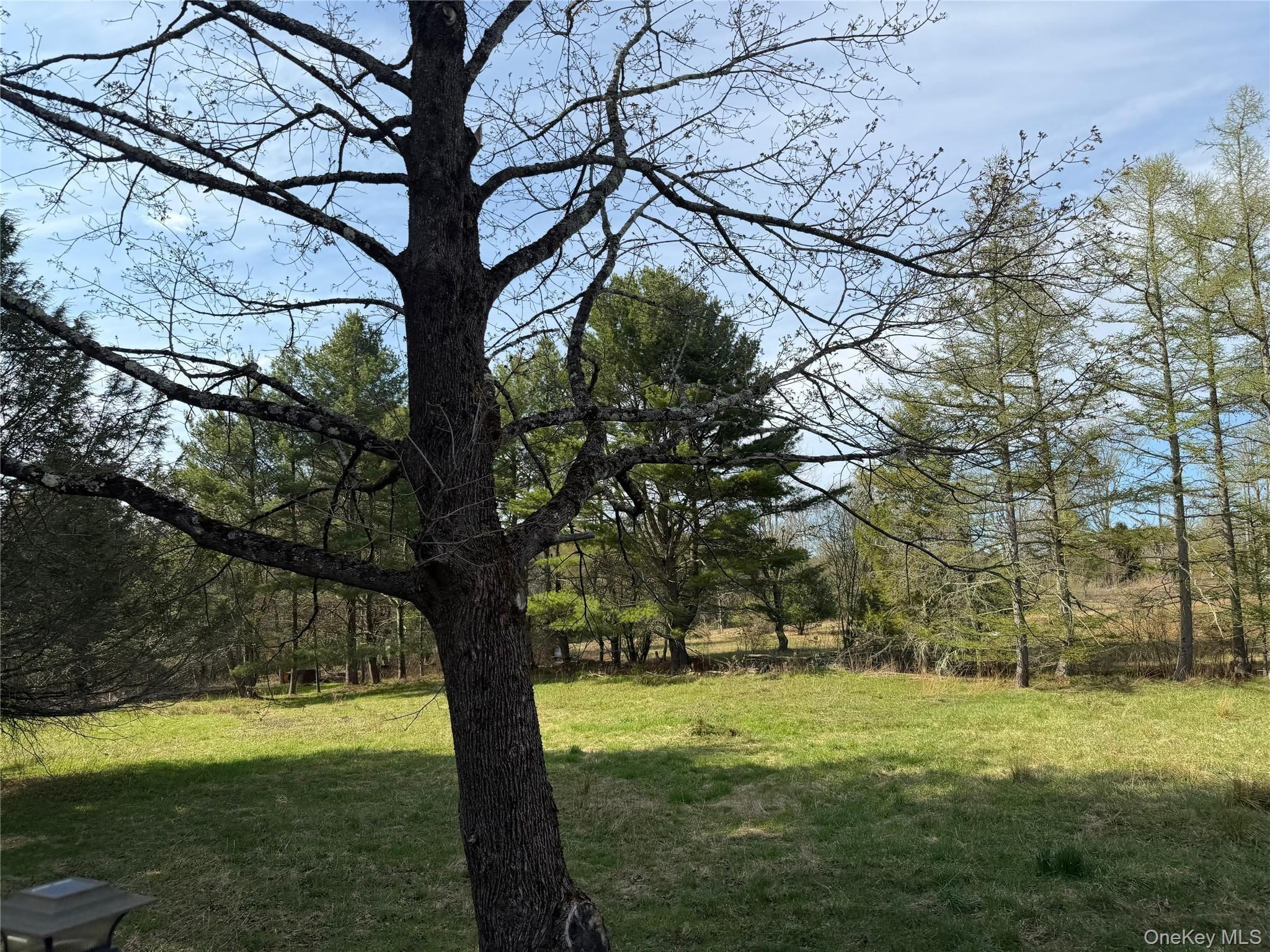 Lt Brender Hwy, Ferndale, NY 12734