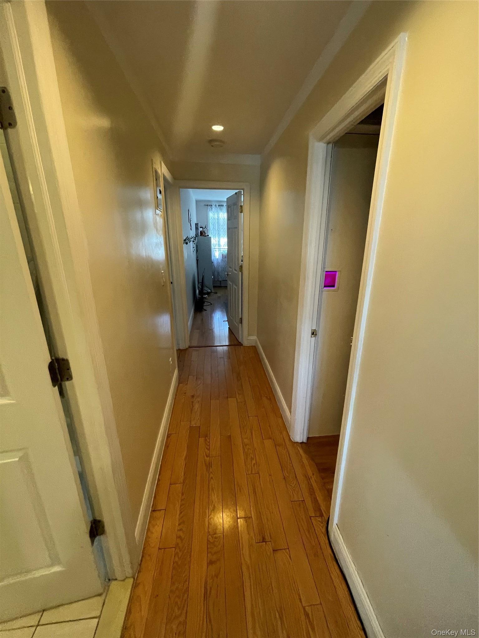 Surf Ave, Brooklyn, NY 11224