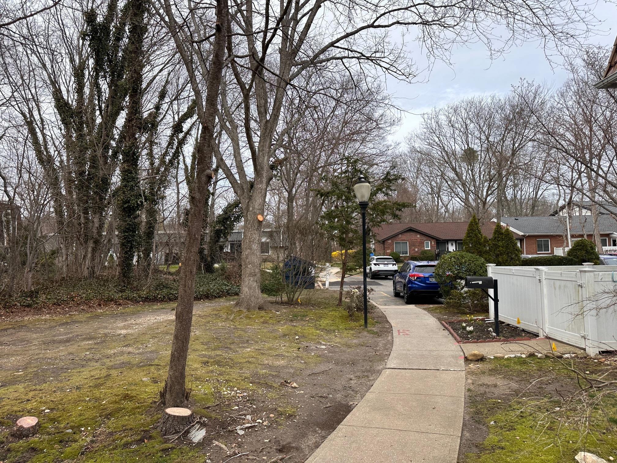 Blue Ridge Dr, Medford, NY 11763
