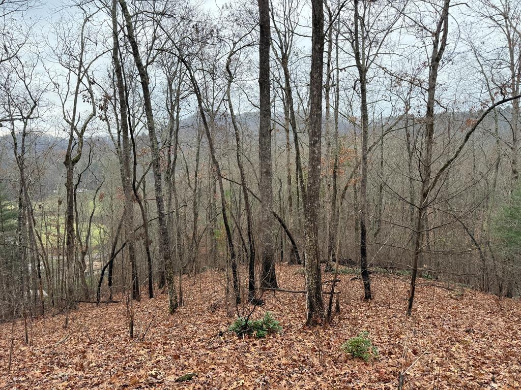 Flaming Ridge Dr, Hayesville, NC 28904