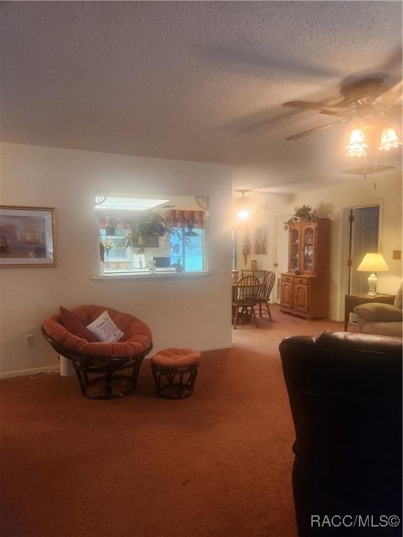 W Hawthorne St, Crystal River, FL 34428