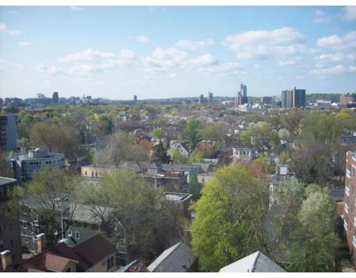 Massachusetts Ave, Cambridge, MA 02139