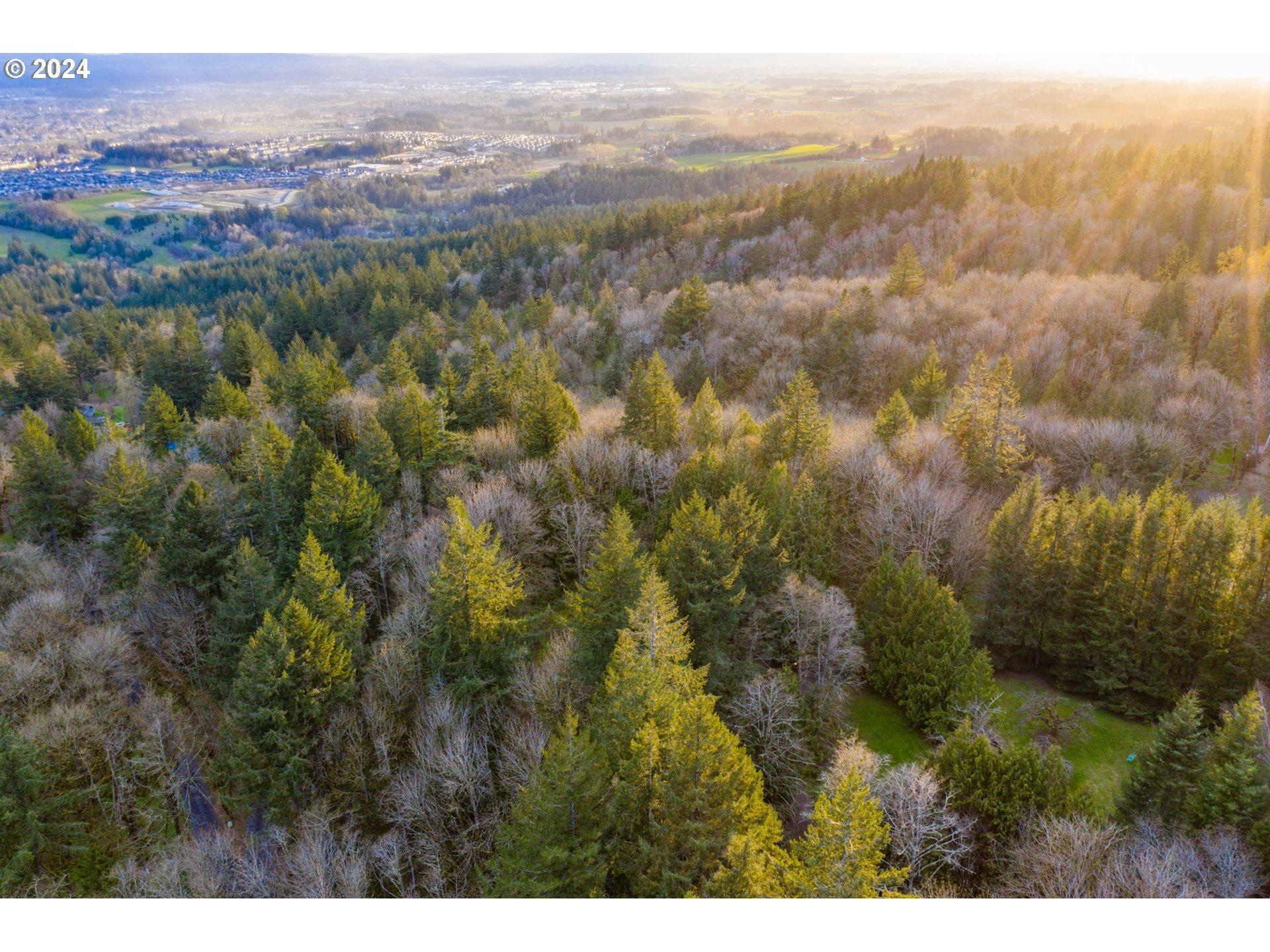 Nw Skyline Blvd, Portland, OR 97231