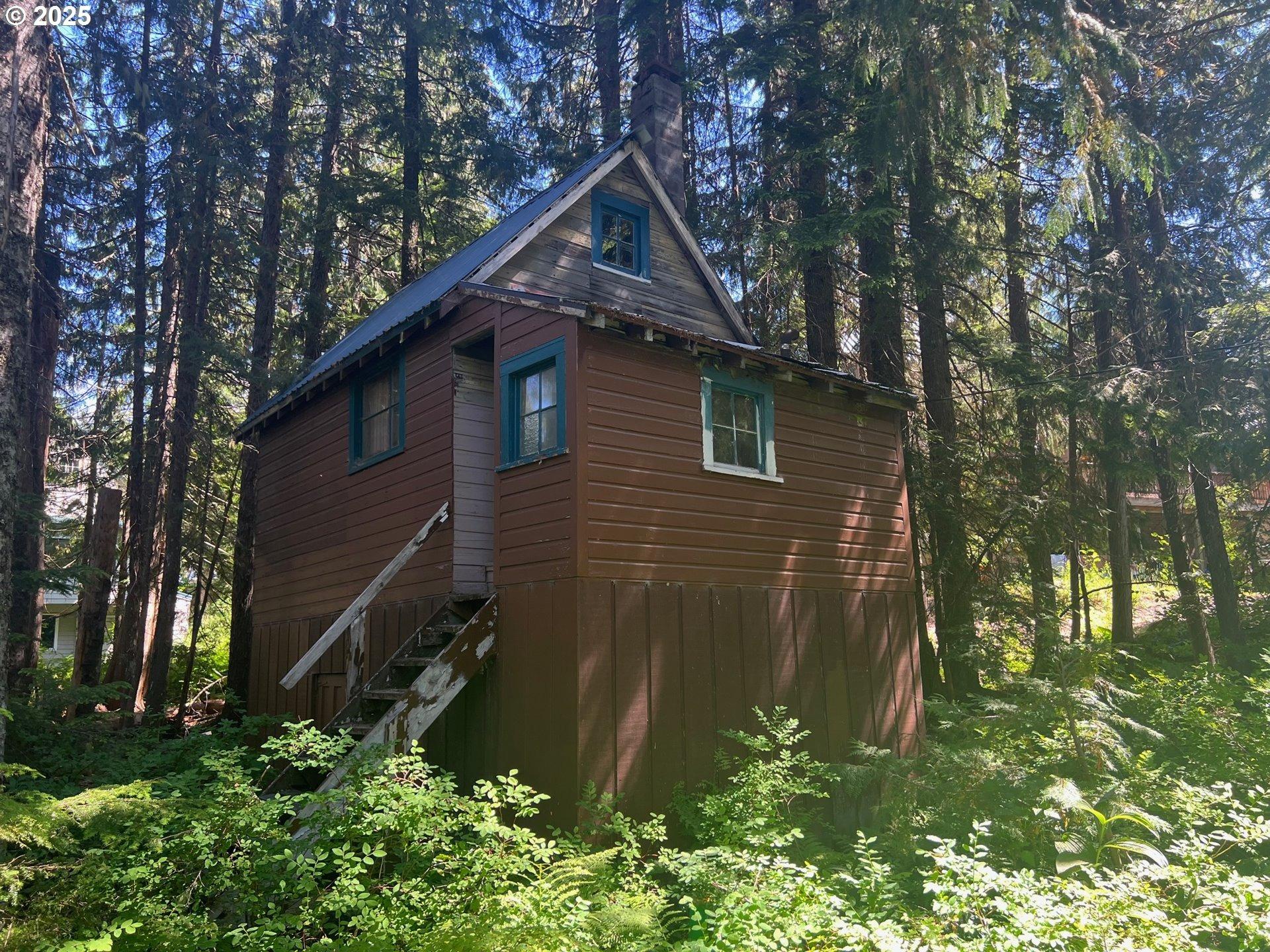 E Government Camp Loop, Government Camp, OR 97028