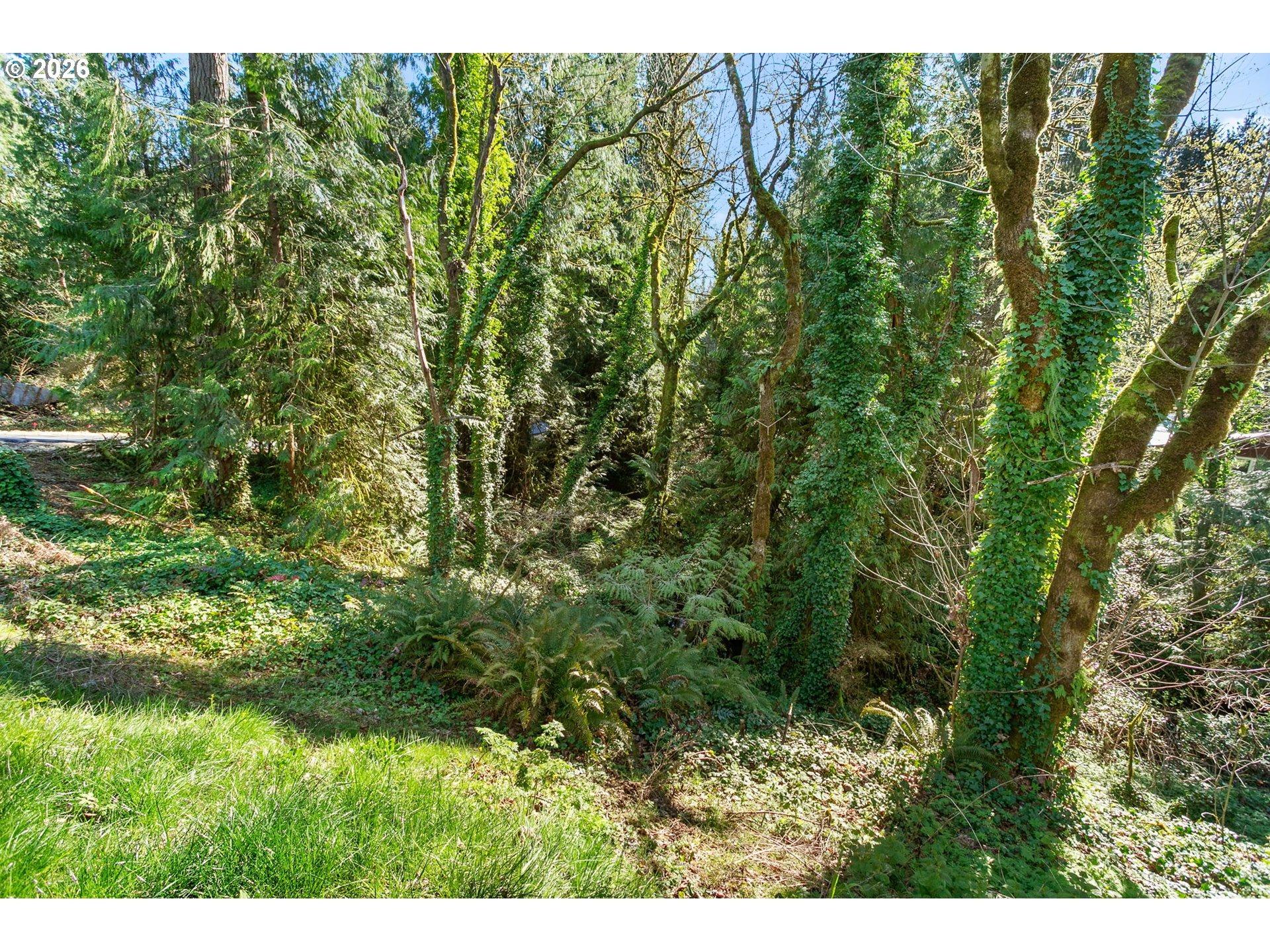 Ne Sumac Ct, Brush Prairie, WA 98606