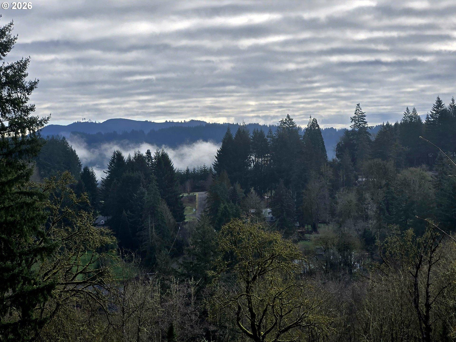 Nw Maple Ridge Rd, Woodland, WA 98674