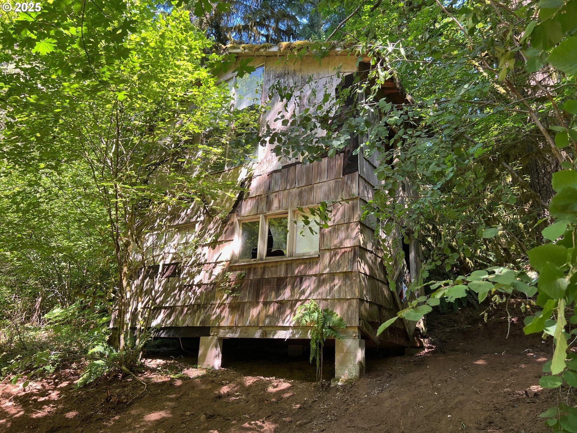 Se Mannthey Rd, Corbett, OR 97019
