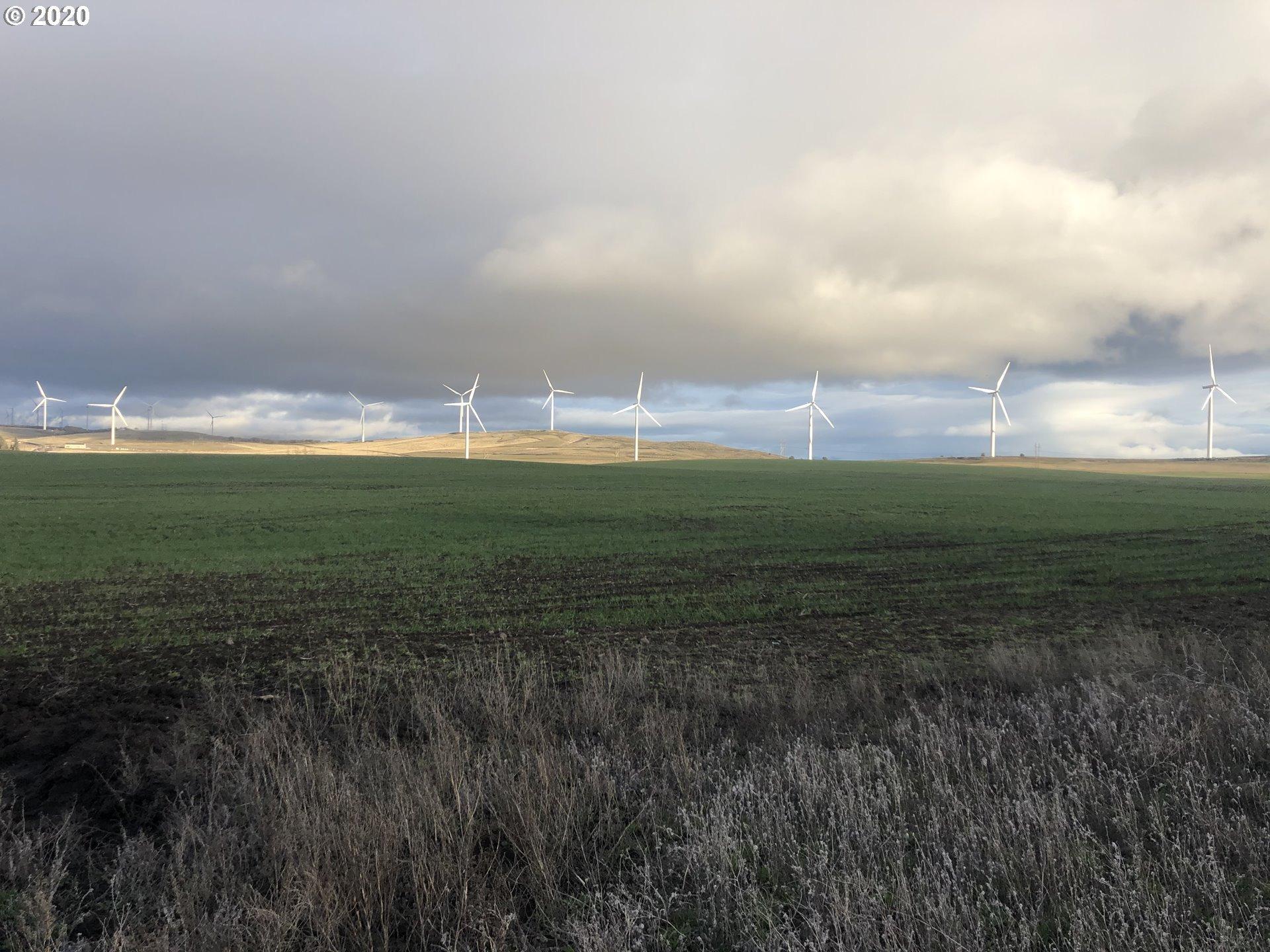 Hoctor Rd, Goldendale, WA 98620
