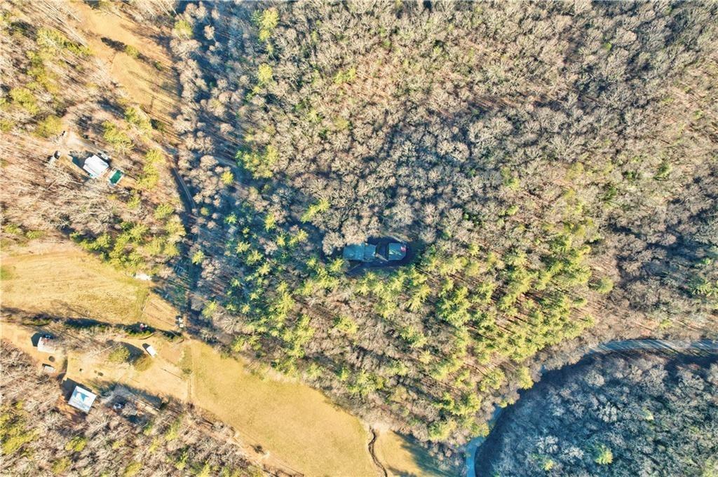 Lucius Ln, Cherry Log, GA 30522