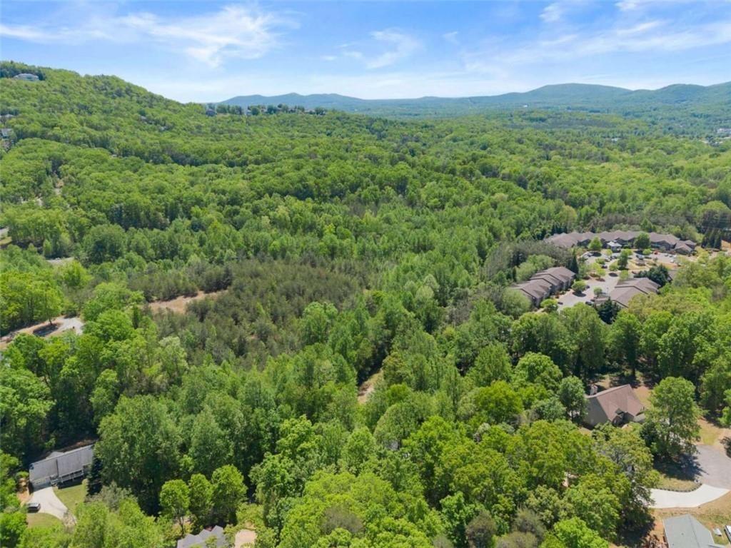 Greenview Ct, Cleveland, GA 30528