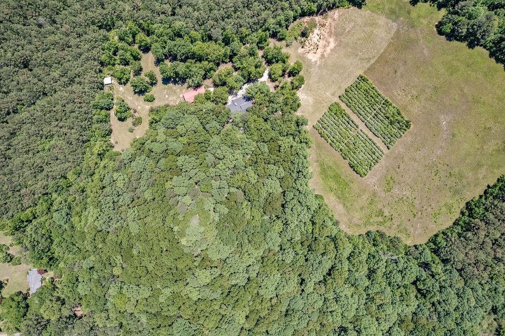Haynes Rd, Moreland, GA 30259