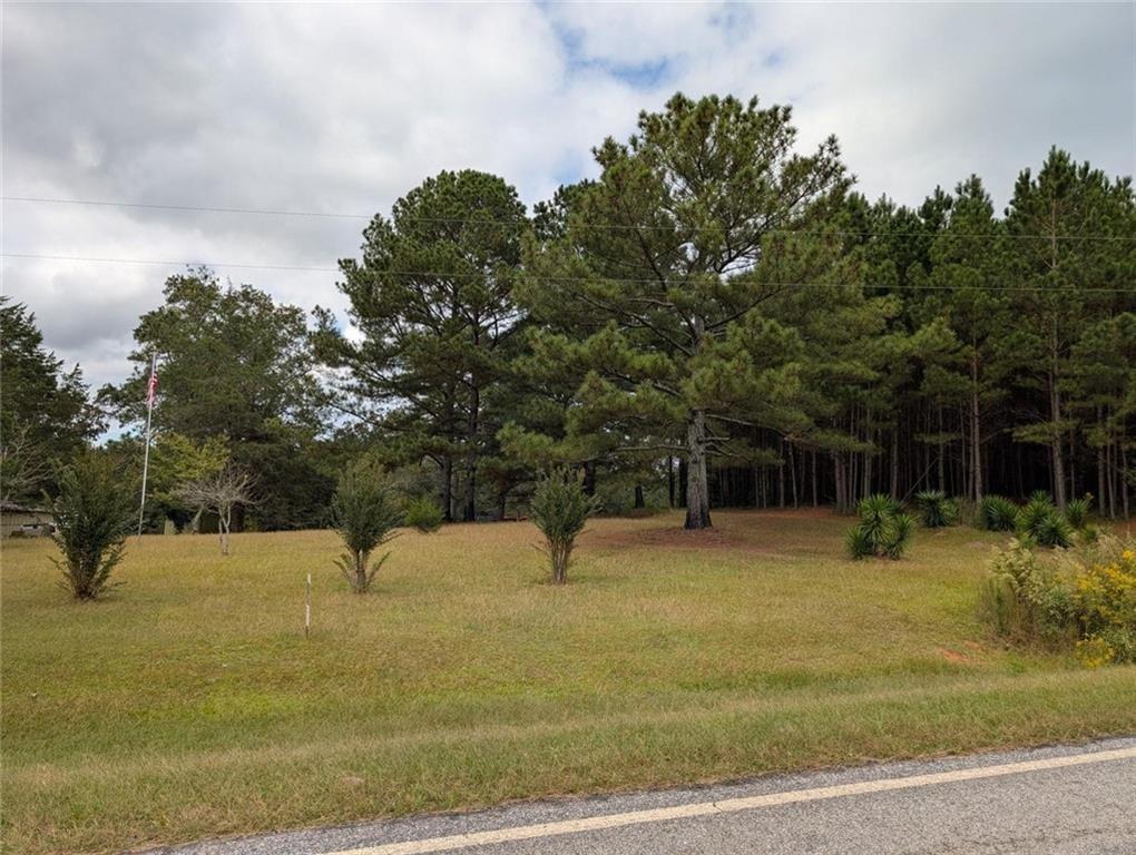 Barr Farm Rd, Roopville, GA 30170