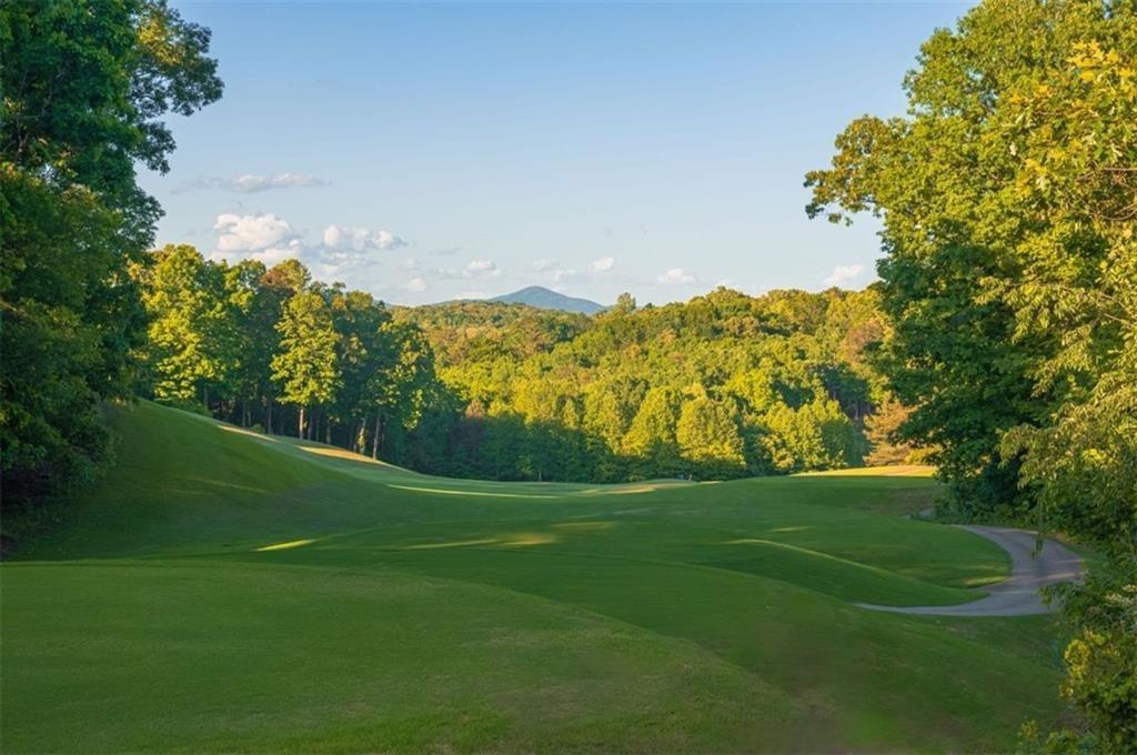 Ne Cove Cir, Dawsonville, GA 30534