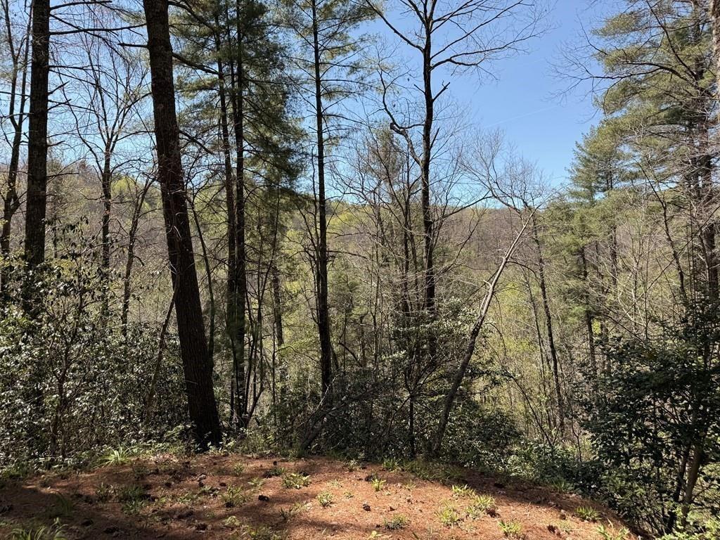 Jacks River Rd, Epworth, GA 30541