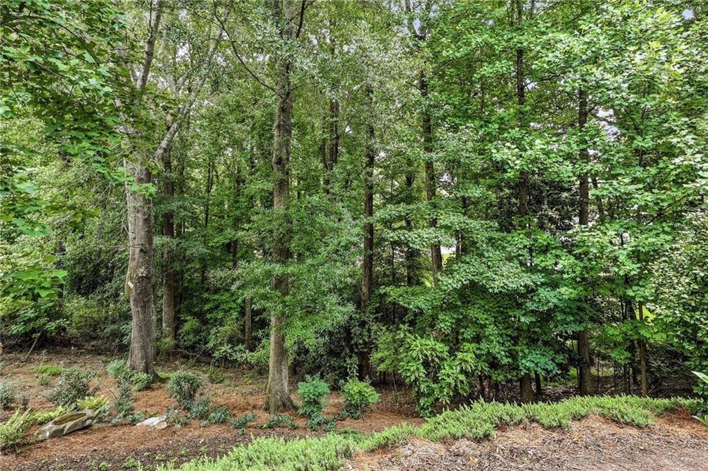 Candler St, Gainesville, GA 30501
