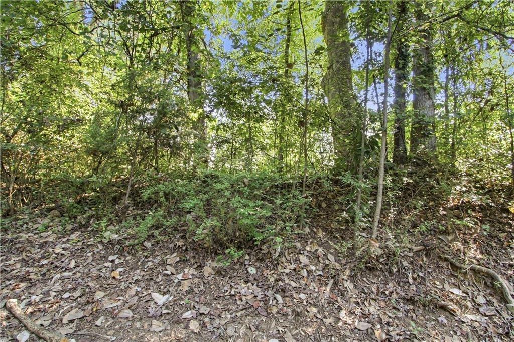 Park St, Dallas, GA 30132