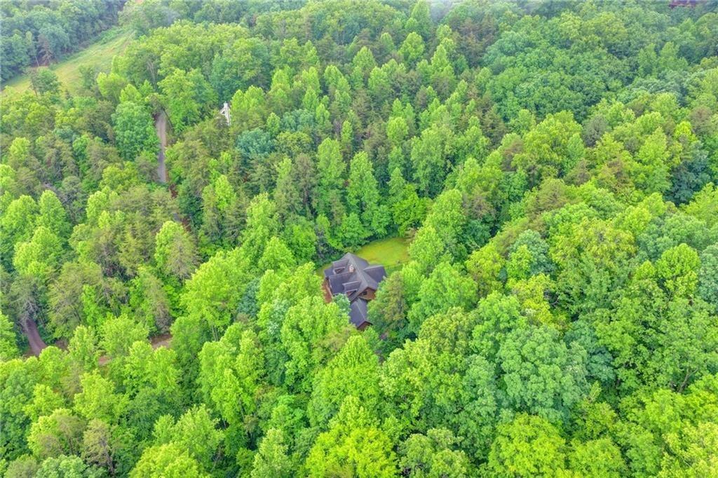Walnut Grove Ln, Tiger, GA 30576