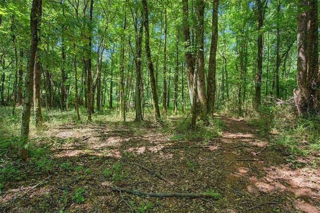Star Point Rd, Carrollton, GA 30116