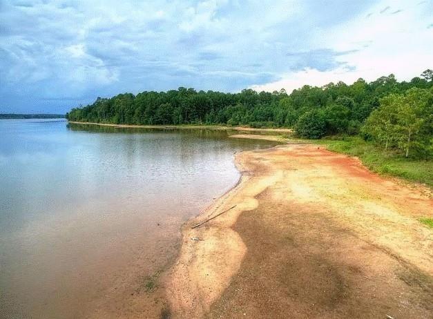 Eglington Trl, Locust Grove, GA 30248