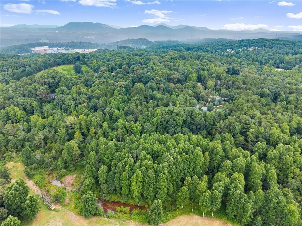 Leona Ln, Cleveland, GA 30528