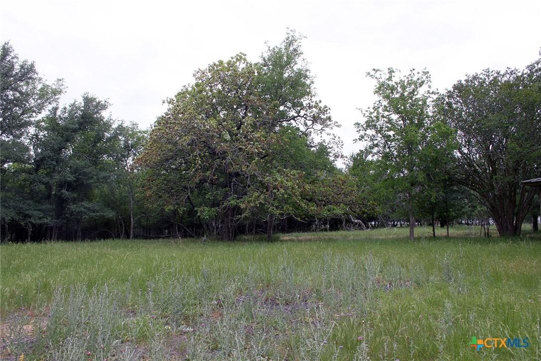 Pettytown Rd, Red Rock, TX 78662