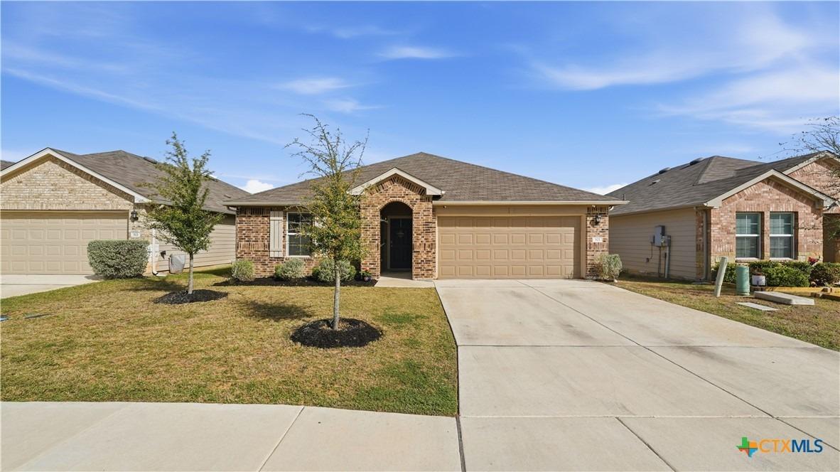 Nodding Nixie, Seguin, TX 78155