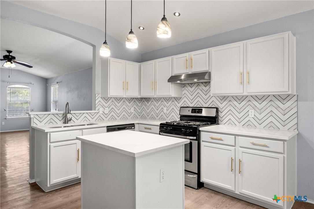 Firebush Way, Buda, TX 78610