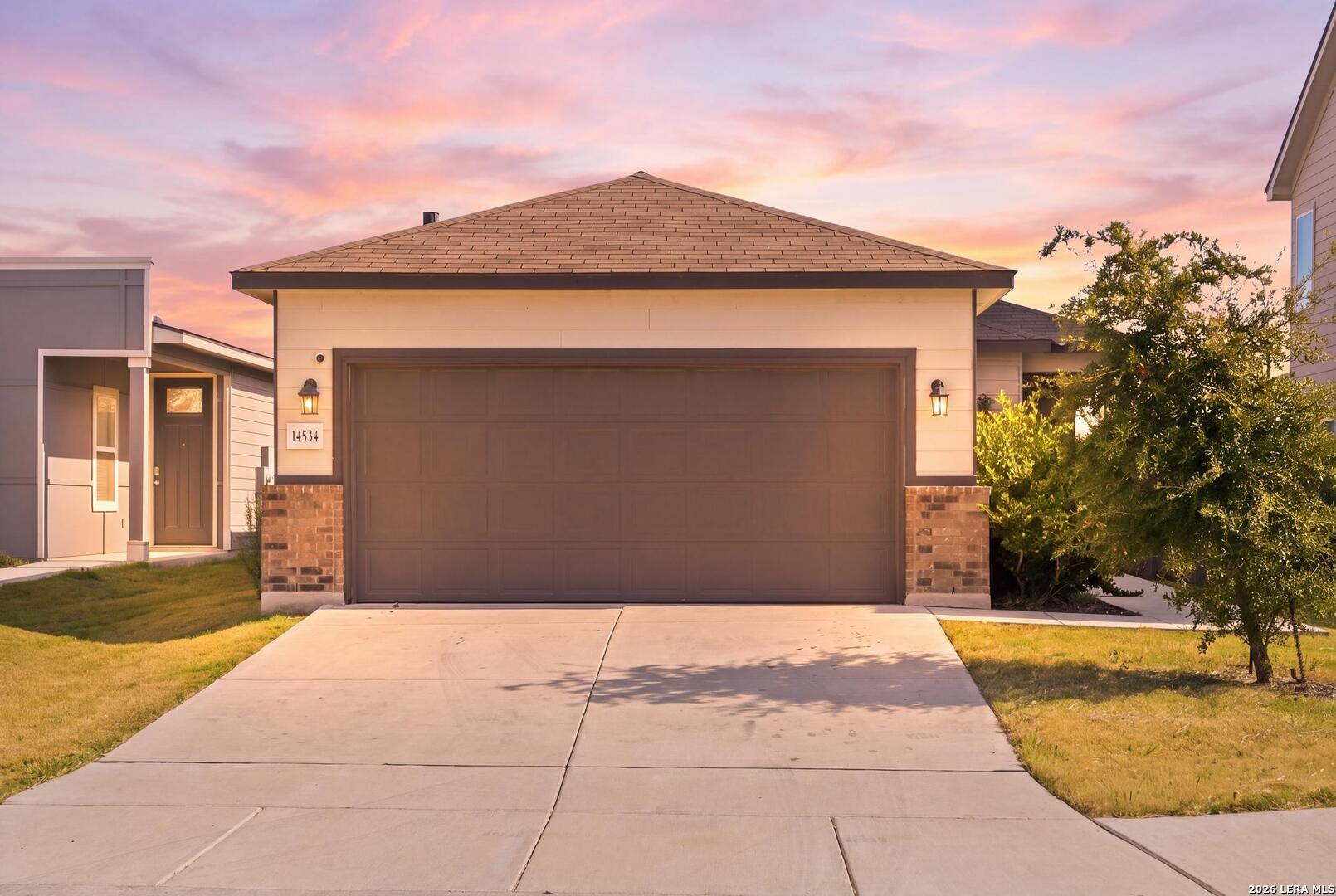 Prairie Clover, San Antonio, TX 78253
