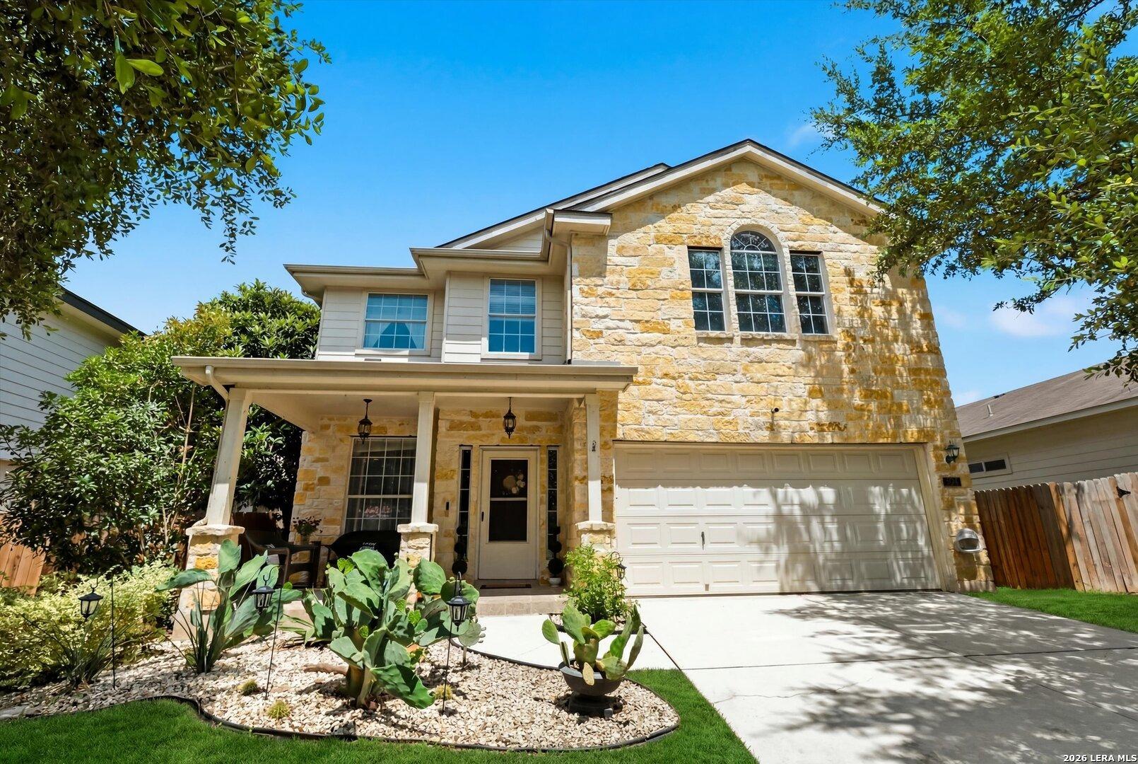 Celosia, San Antonio, TX 78245