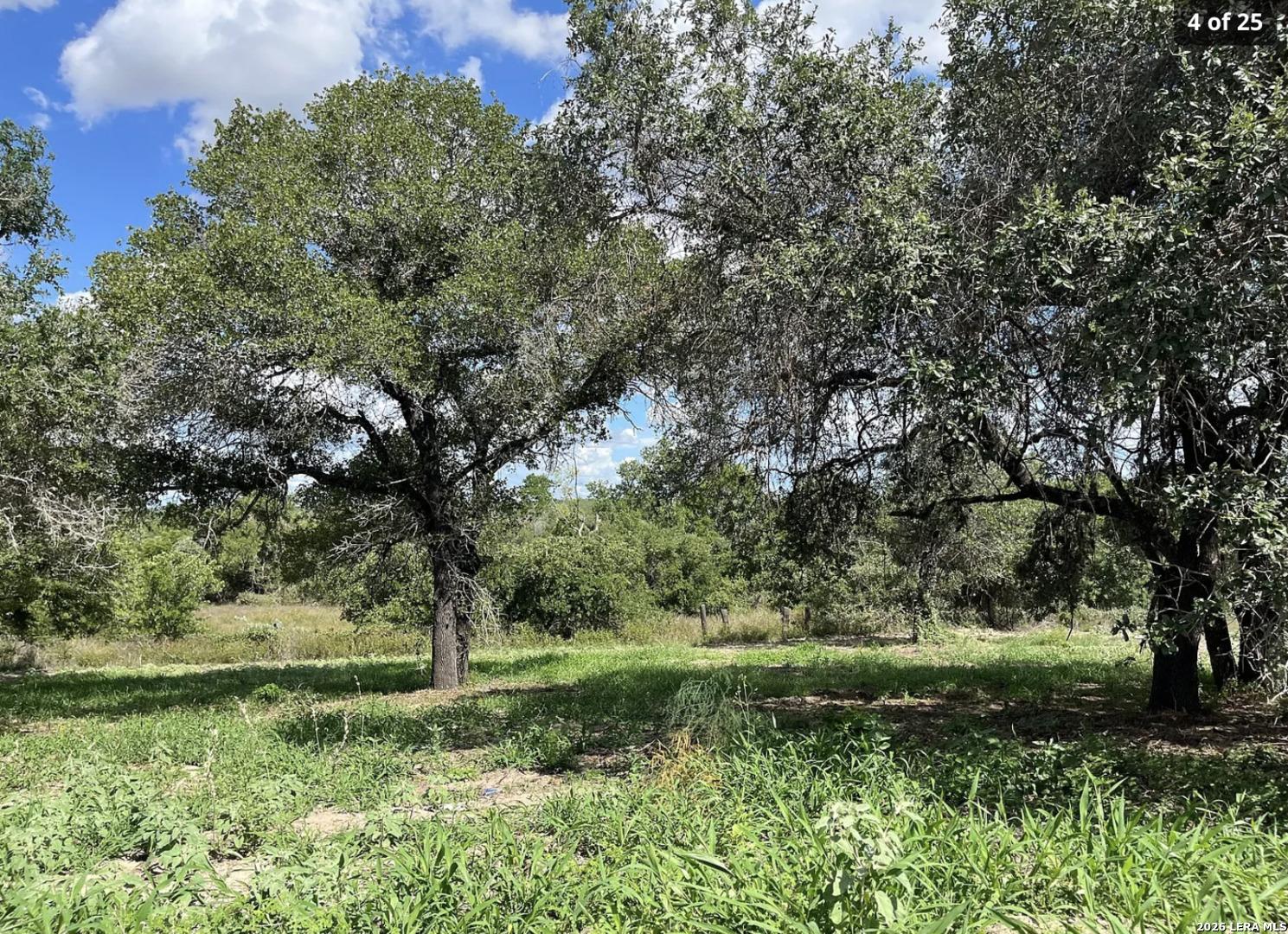 County Road 124, Floresville, TX 78114
