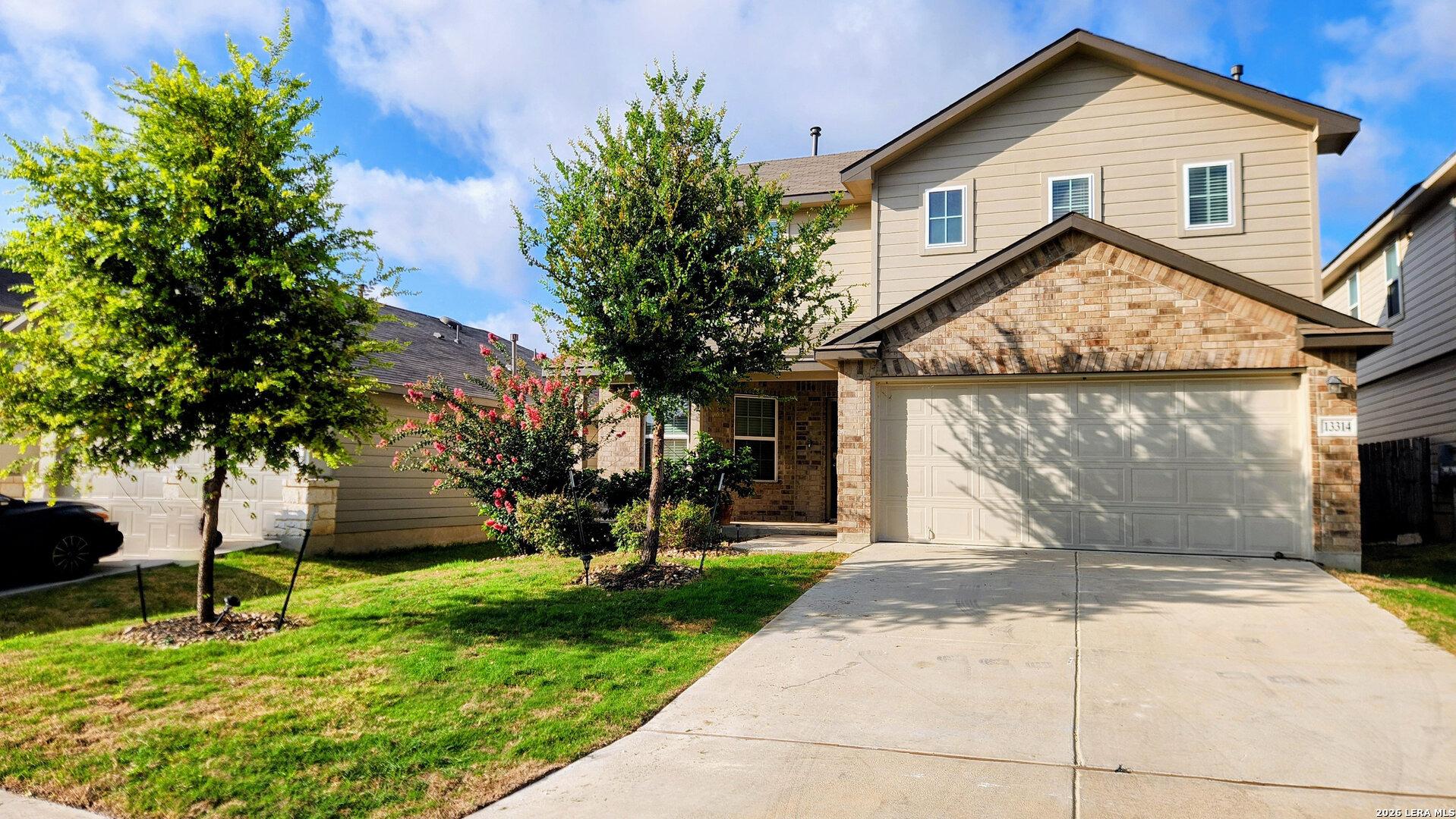 Wood Sedge, San Antonio, TX 78254