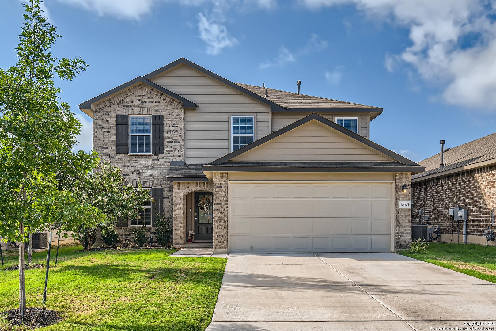 Silky Rye, San Antonio, TX 78254