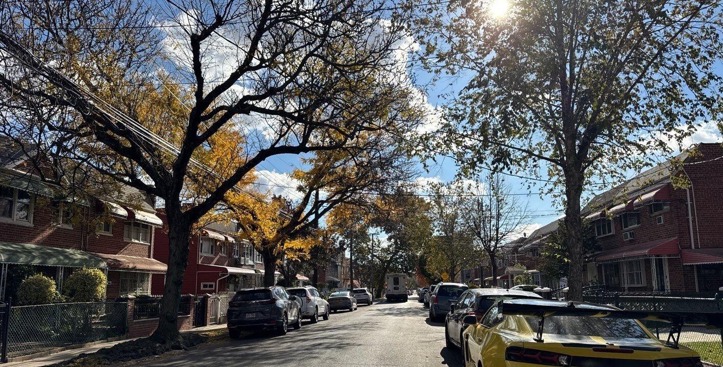 Warwick St, Brooklyn, NY 11207