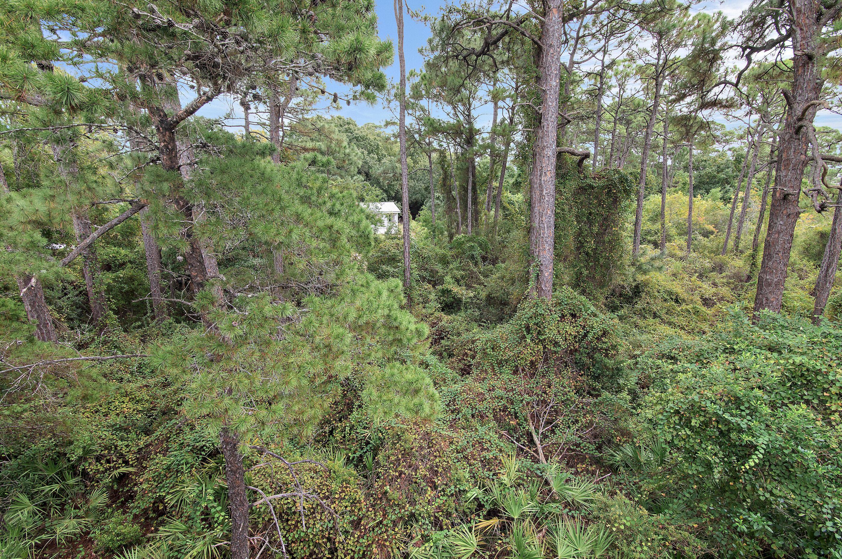 Charming Way, Santa Rosa Beach, FL 32459