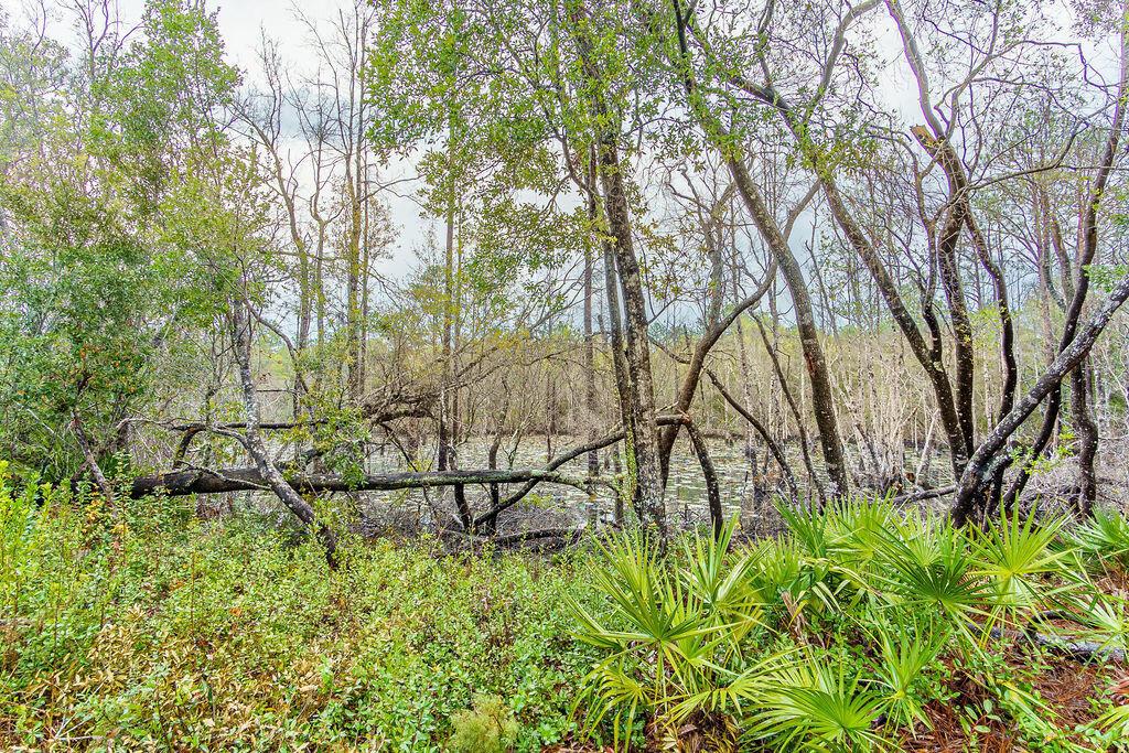 Wayne Trl, Santa Rosa Beach, FL 32459