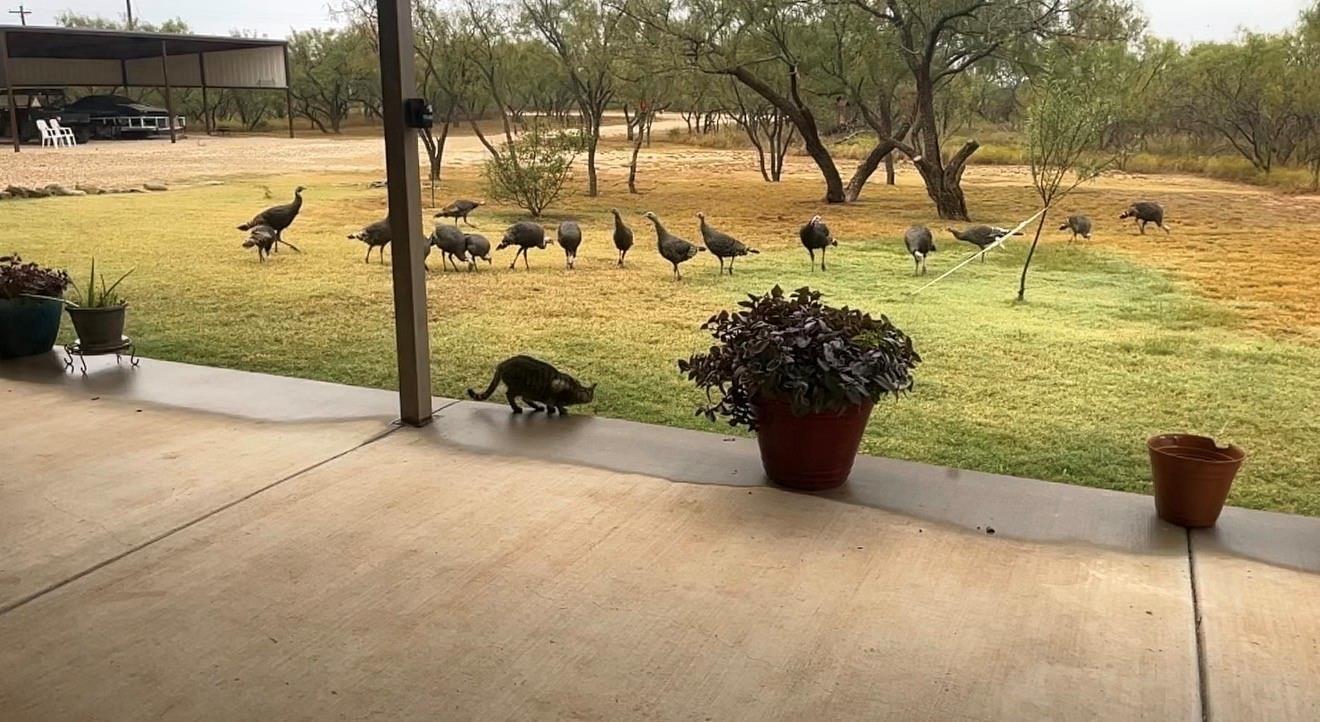 Fagan Rd, Snyder, TX 79549