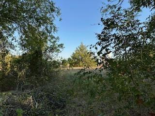 Hudson St, Newark, TX 76071
