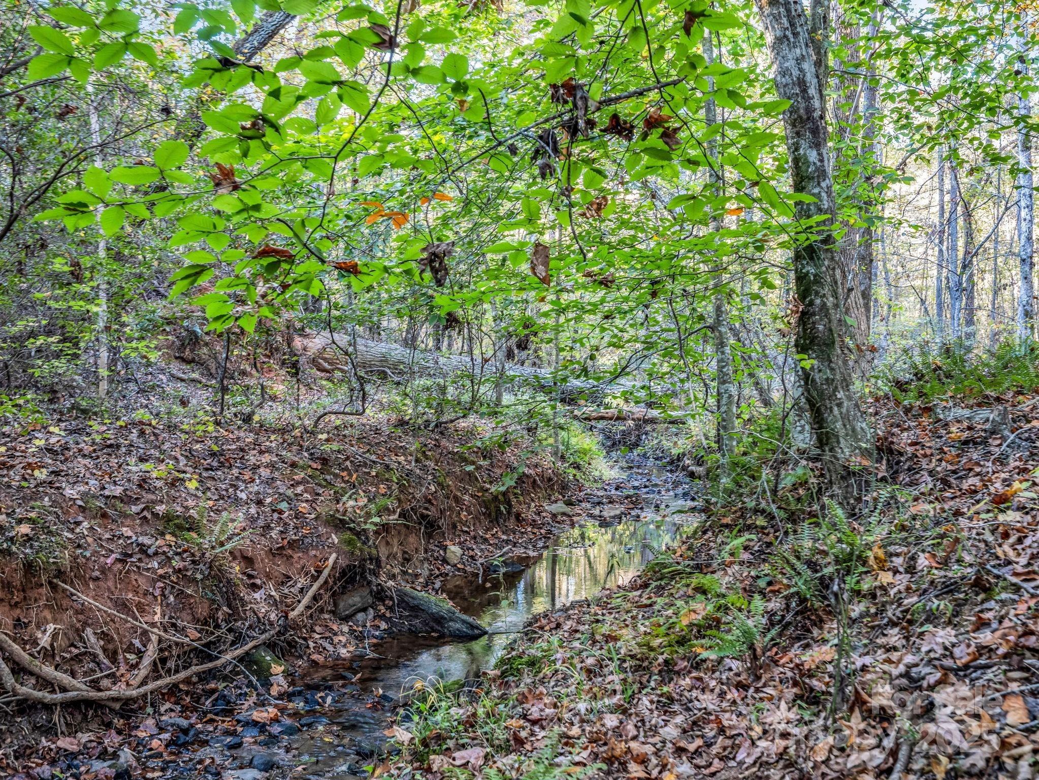 Landrum Rd, Columbus, NC 28722